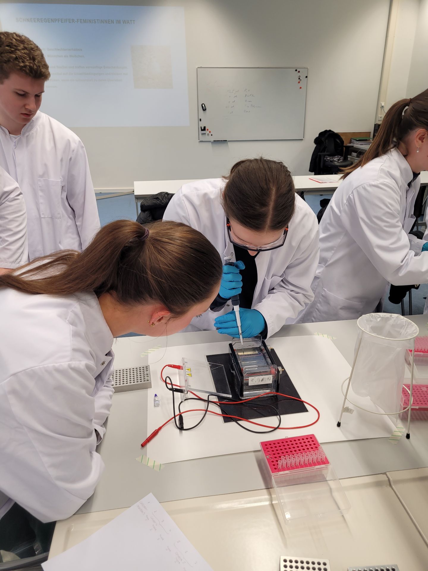 Eine Schlerin beldt eine Tasche in einem Agarosegel mit einer Probe 