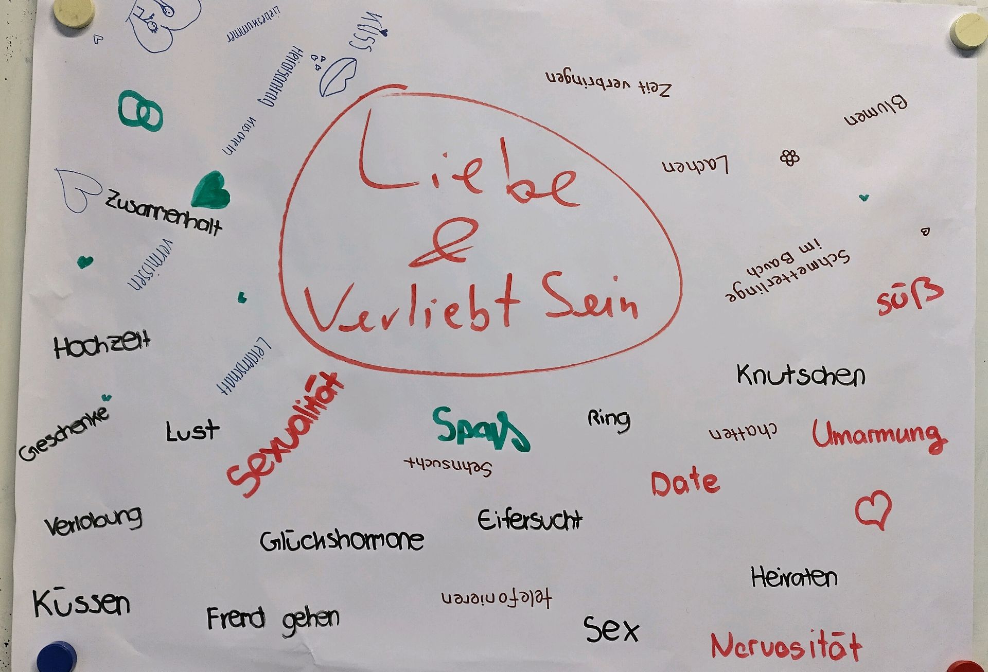 IMG 20250128 120452 HDR1